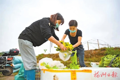群防群治战疫情　同心协力筑防线