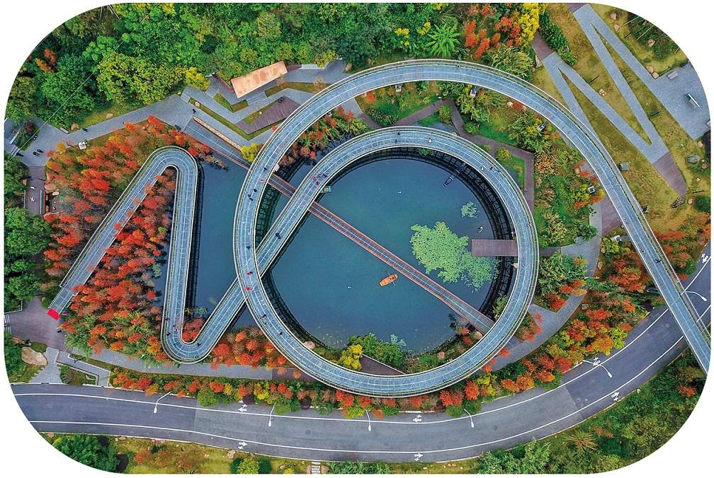 首创！蜿蜒在空中的森林步道，建造关键技术获评“国际领先”