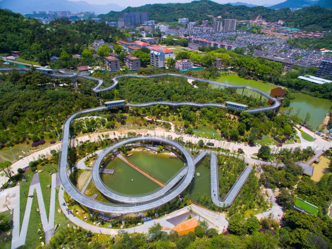 首创！蜿蜒在空中的森林步道，建造关键技术获评“国际领先”
