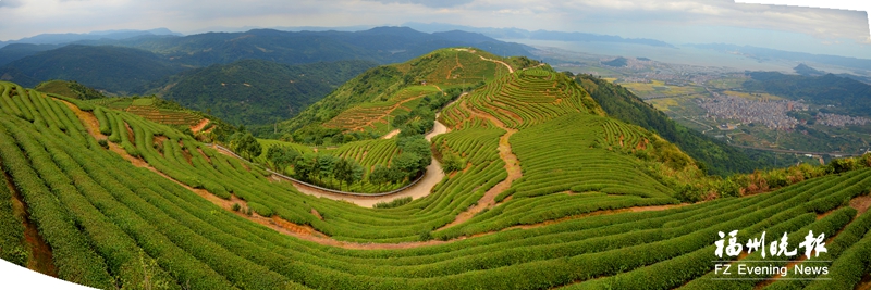 福州曾是世界茶港 更是世界茶城