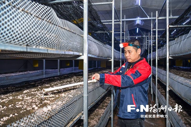 福州首个红托竹荪智慧生产项目落地马尾琅岐
