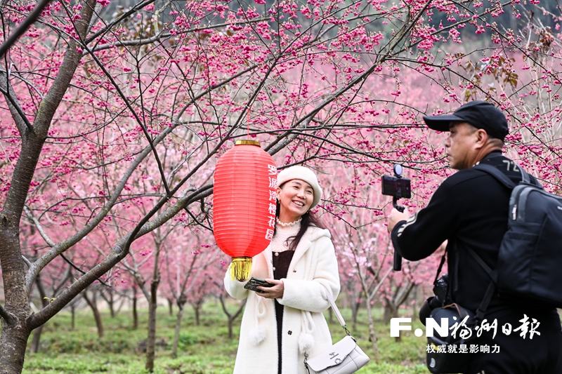 罗源：荒山变花园 游人如潮来