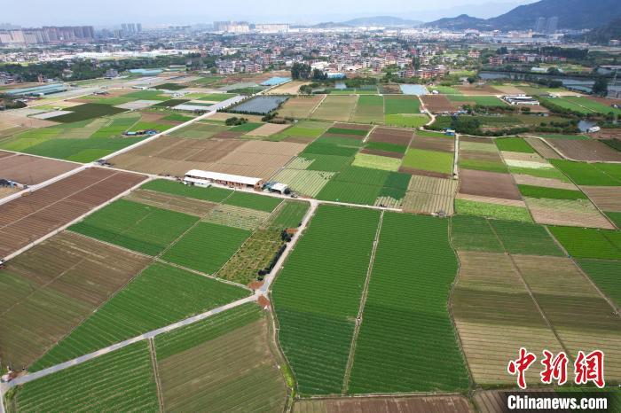 俯瞰蔬菜花卉种植基地，宛如大地调色板。　王东明 摄