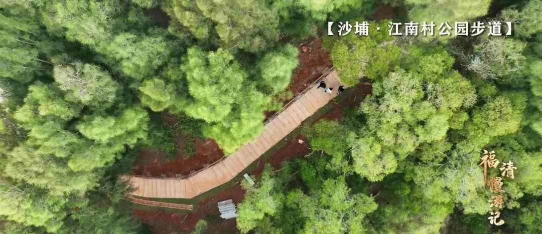 山之上,海尽头,福清这条森林步道带你揽海临风 山之上,海尽头,福清这条森林步道带你揽海临风
