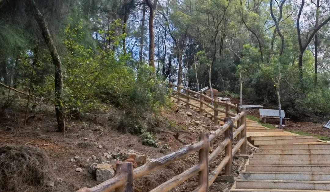 山之上,海尽头,福清这条森林步道带你揽海临风 山之上,海尽头,福清这条森林步道带你揽海临风