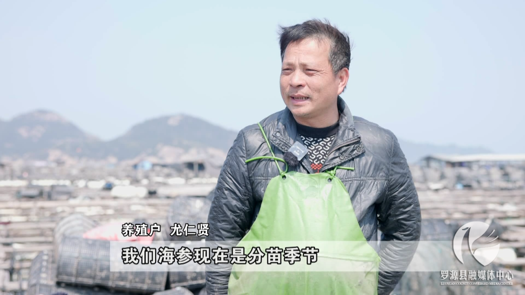 美味“苗儿”长势旺 罗源鉴江海上“春耕”忙