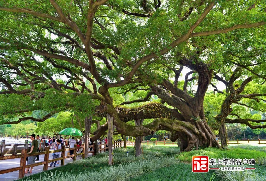 福州式浪漫!看完这些“地标”,你就懂了! 福州式浪漫!看完这些“地标”,你就懂了!
