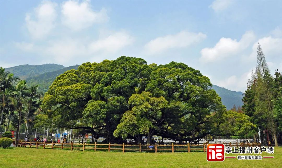 福州式浪漫!看完这些“地标”,你就懂了! 福州式浪漫!看完这些“地标”,你就懂了!