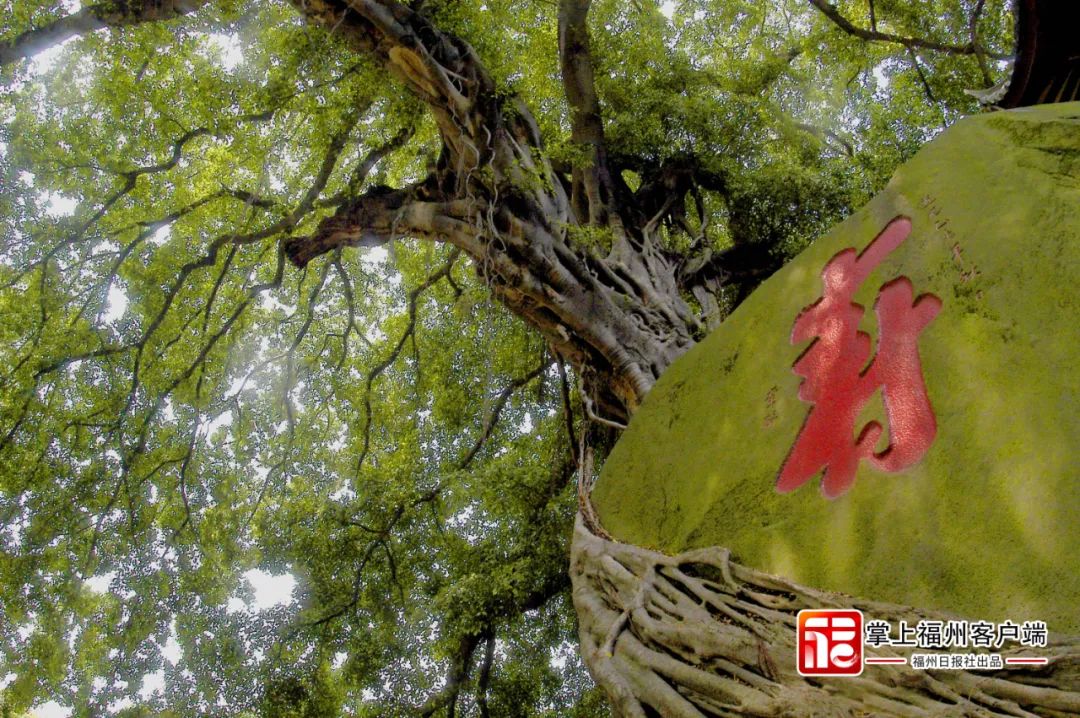 福州式浪漫!看完这些“地标”,你就懂了! 福州式浪漫!看完这些“地标”,你就懂了!