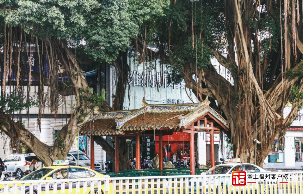 福州式浪漫!看完这些“地标”,你就懂了! 福州式浪漫!看完这些“地标”,你就懂了!