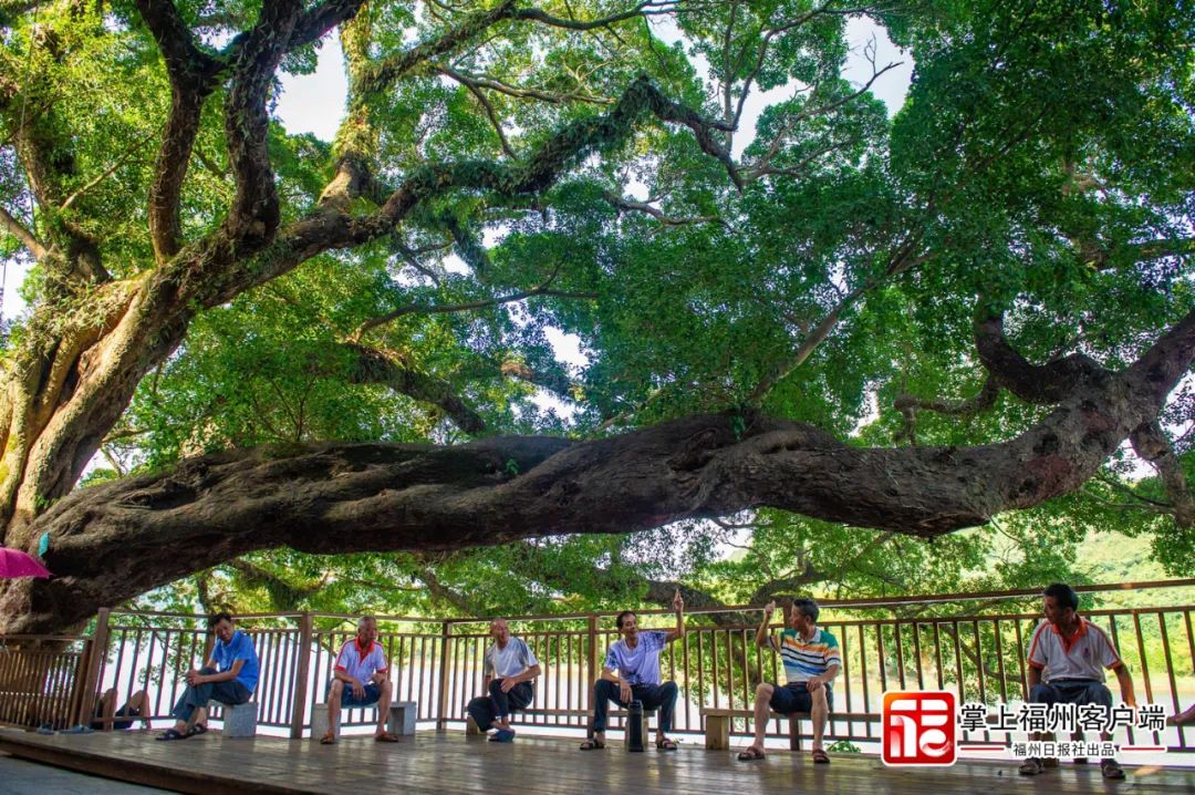 福州式浪漫!看完这些“地标”,你就懂了! 福州式浪漫!看完这些“地标”,你就懂了!