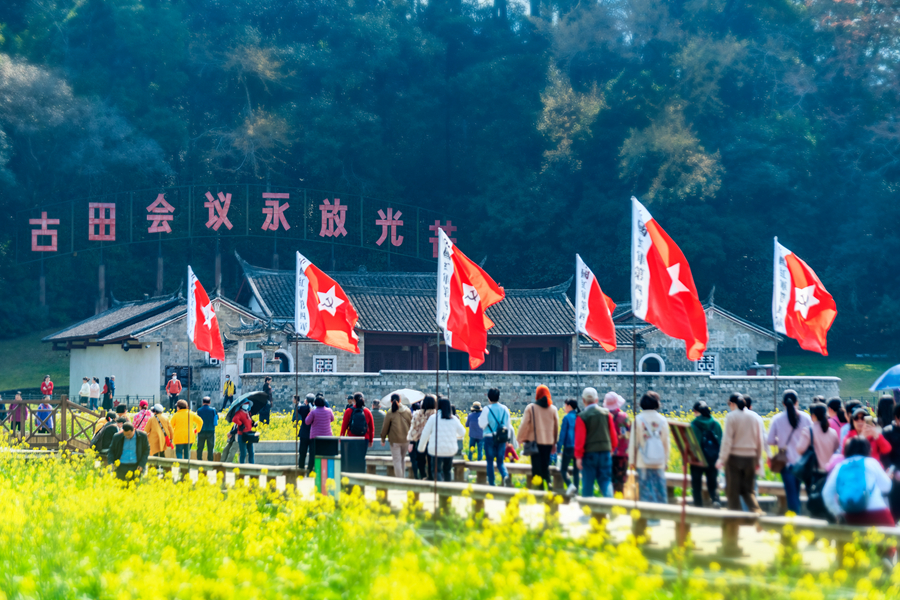 古田会址景区油菜花海引游人。彭绪荣供图