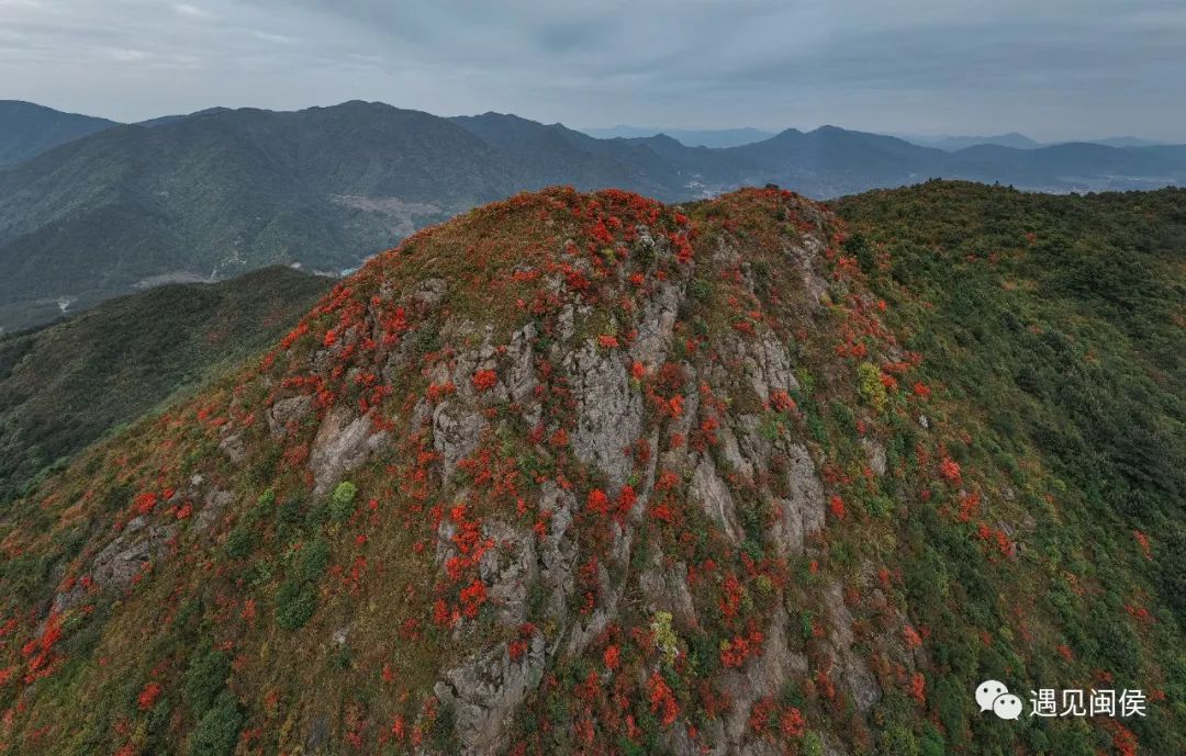 这个春天，闽侯摄影师的镜头捕捉到了什么？
