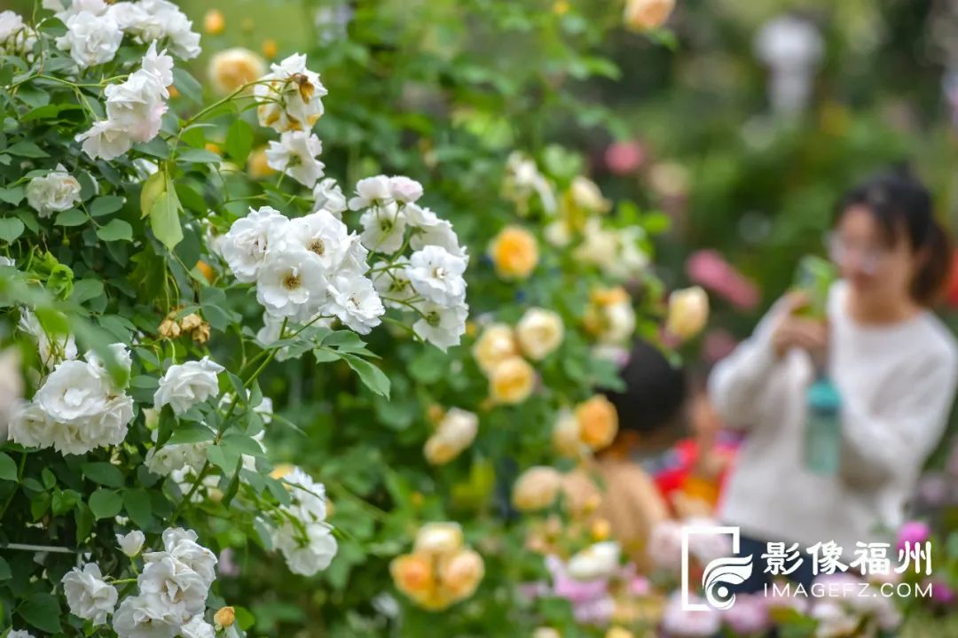 “五一”假期，饱享千园之城生态福利！