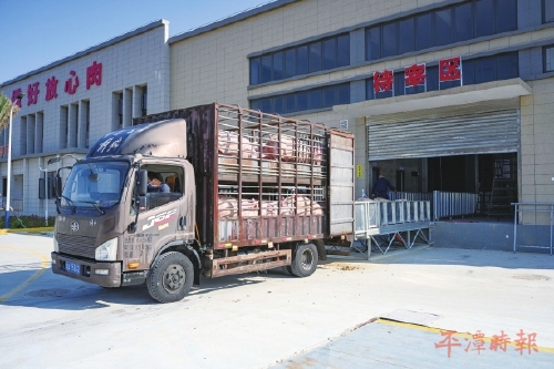 平潭肉联加工厂（一期）正式运营