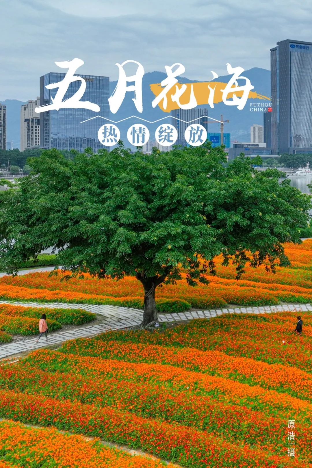 福州初夏的花海是什么样的? 福州初夏的花海是什么样的?