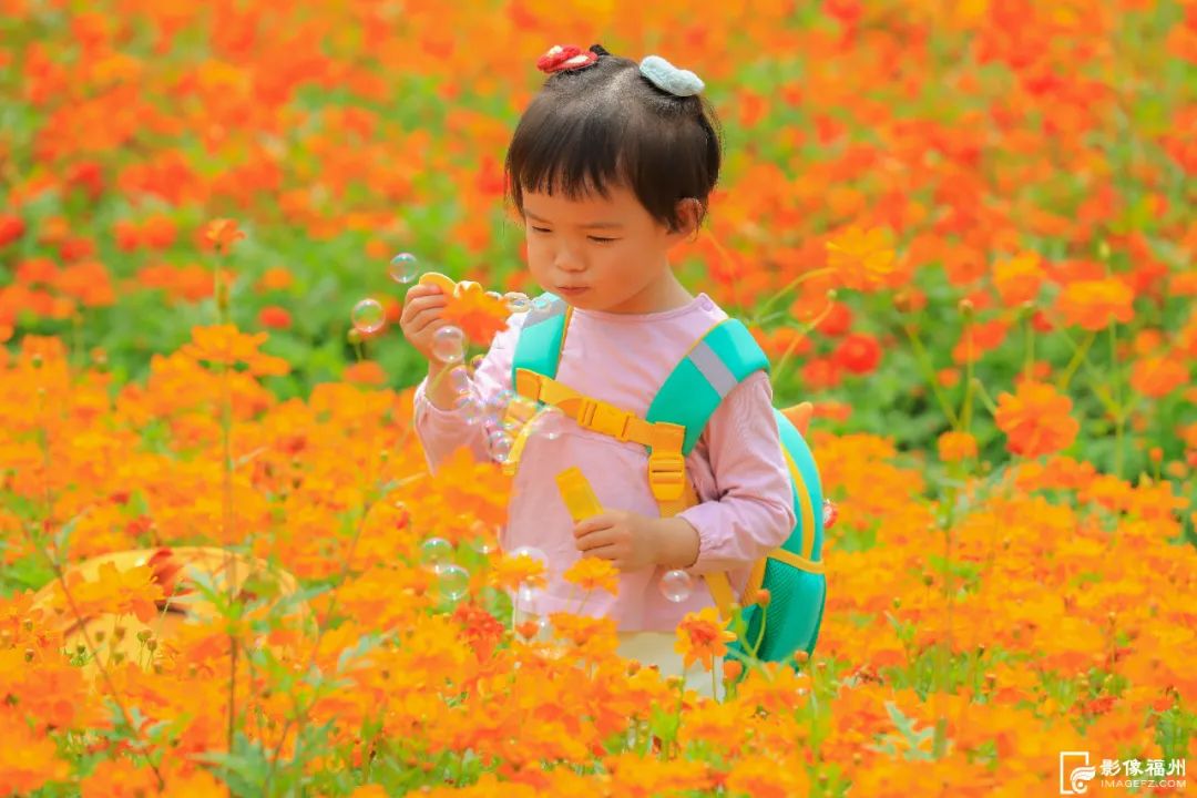 福州初夏的花海是什么样的？