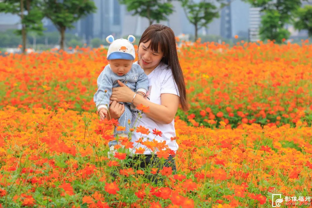 福州初夏的花海是什么样的? 福州初夏的花海是什么样的?