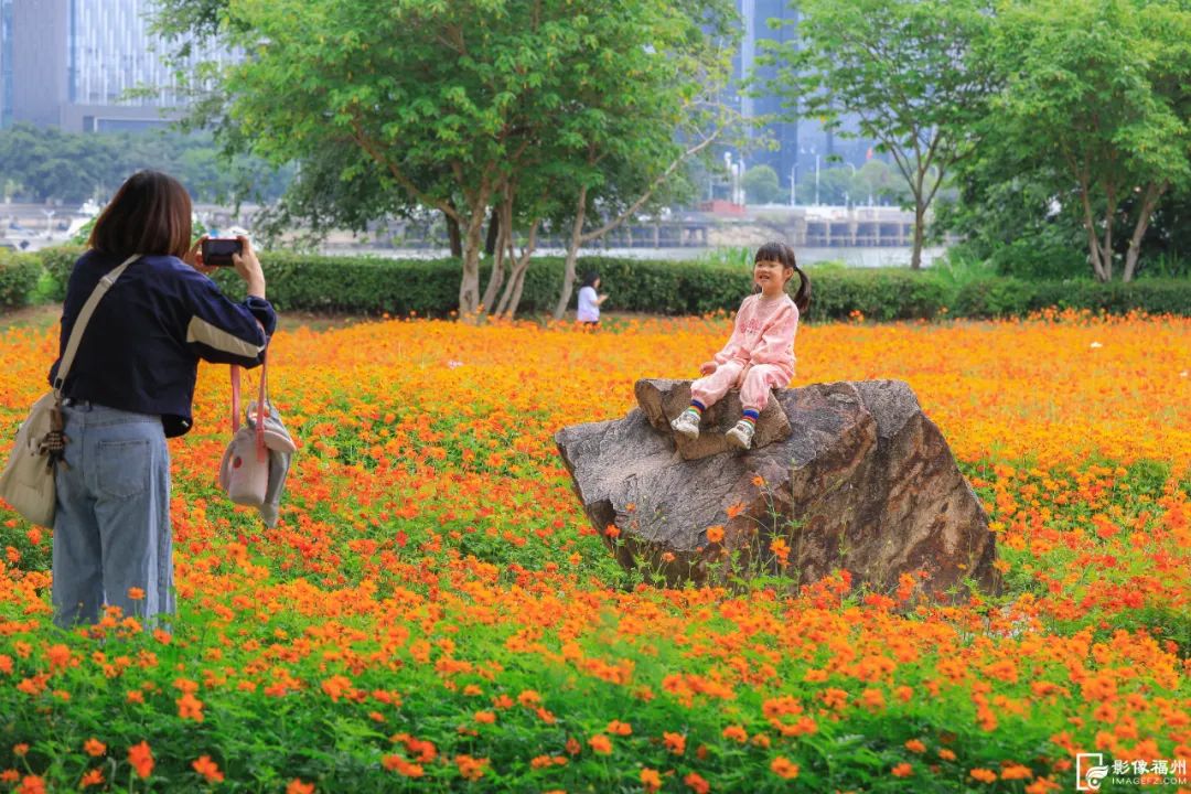 福州初夏的花海是什么样的？