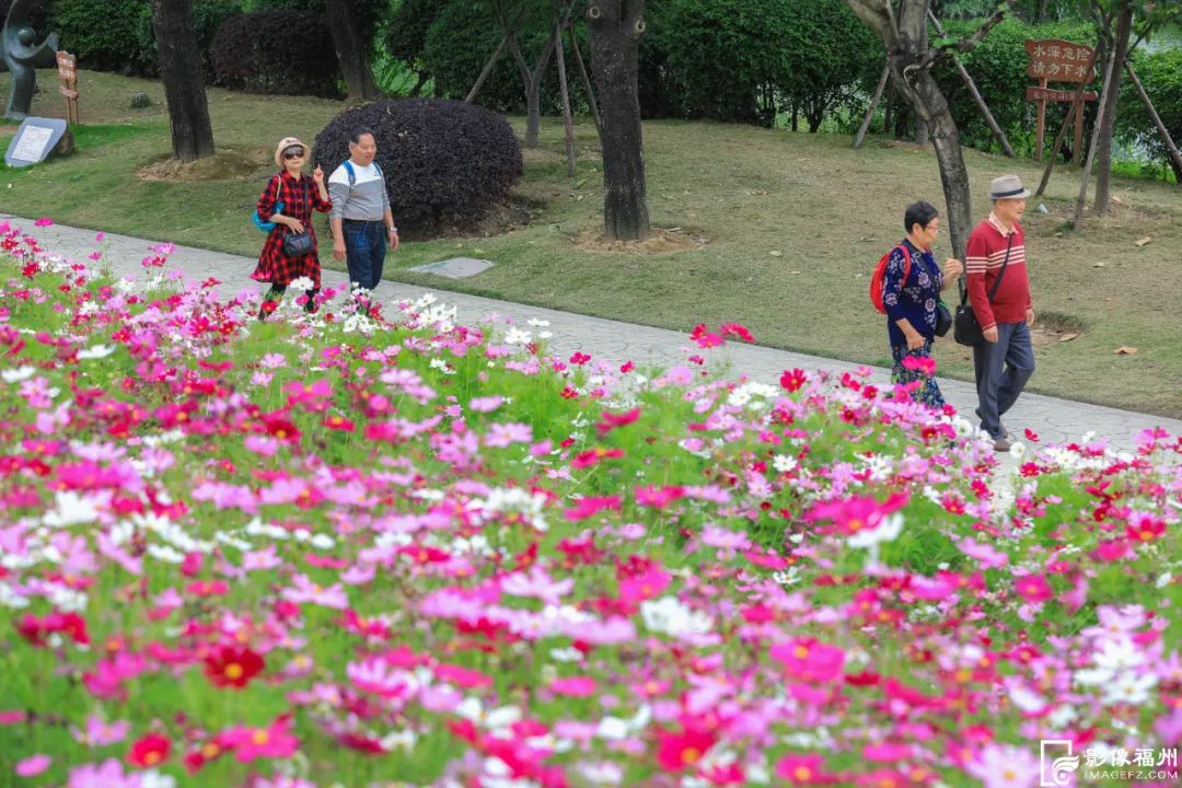 福州初夏的花海是什么样的？