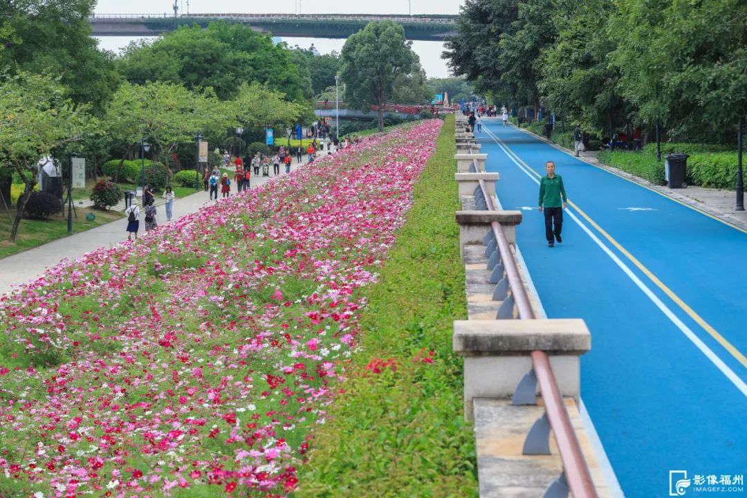 福州初夏的花海是什么样的? 福州初夏的花海是什么样的?