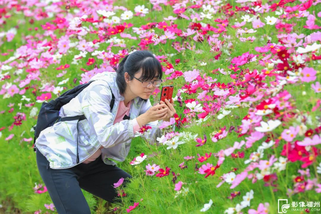 福州初夏的花海是什么样的？
