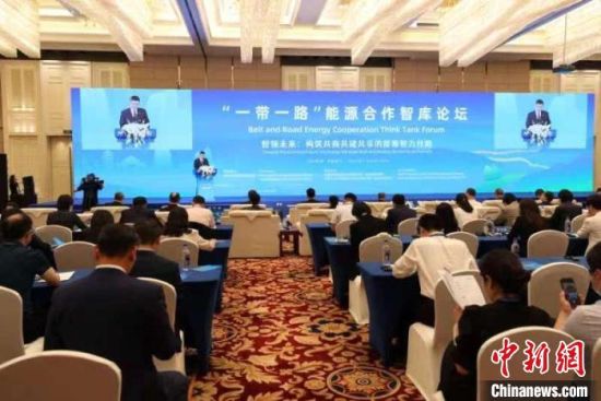 近日，“一带一路”能源合作智库论坛在福建厦门成功召开。　刘文文 摄