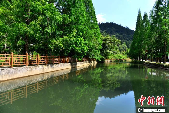 图为5月28日,龙栖山国家级自然保护区内景色如画。 张斌 摄 图为5月28日,龙栖山国家级自然保护区内景色如画。 张斌 摄