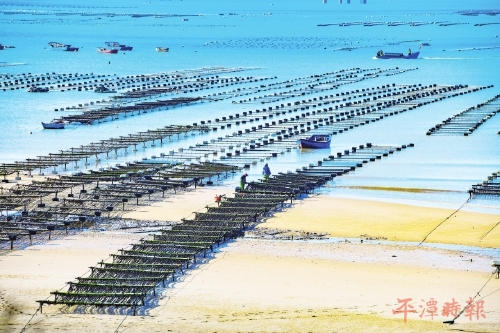 向海图强　澎湃“蓝色”新动能