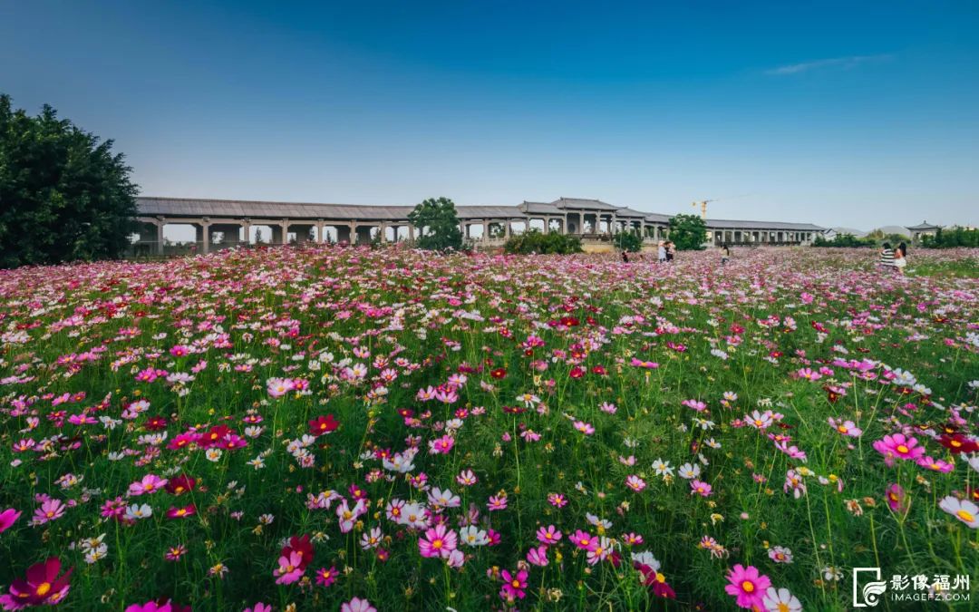 六月，去看花花世界！