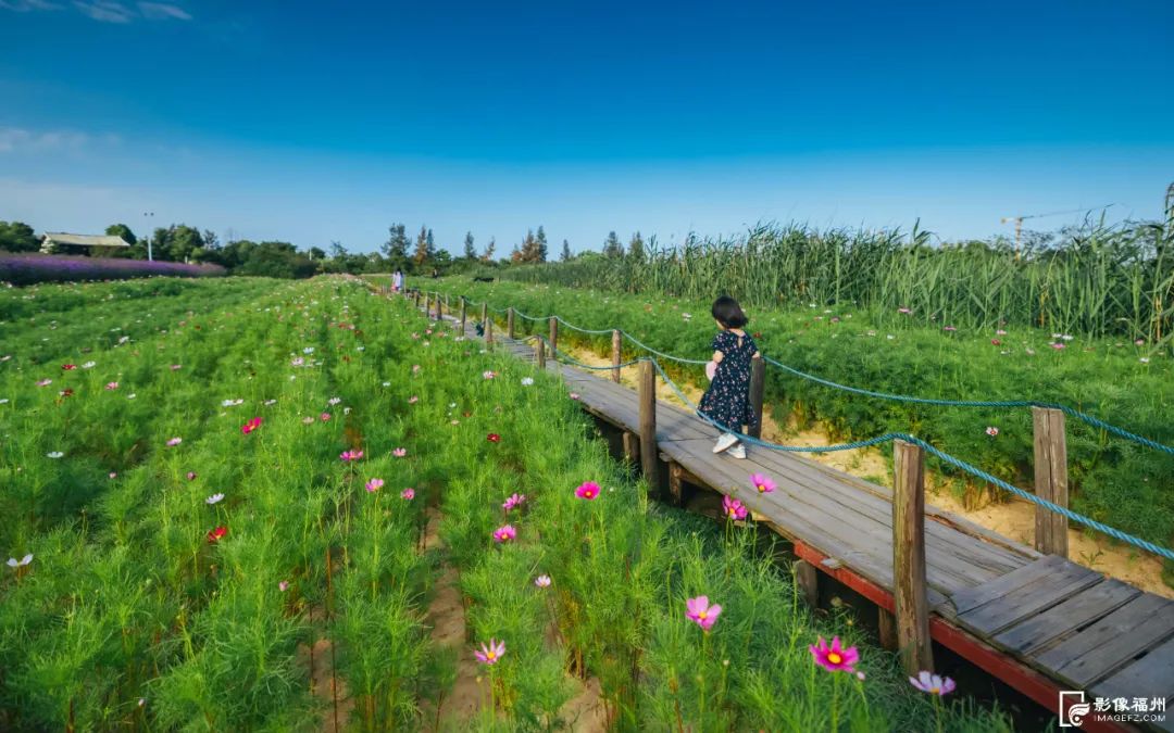六月，去看花花世界！