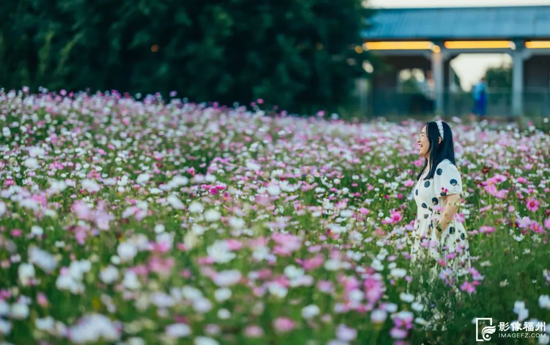 六月，去看花花世界！