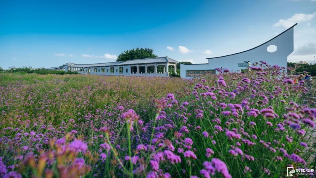 六月，去看花花世界！