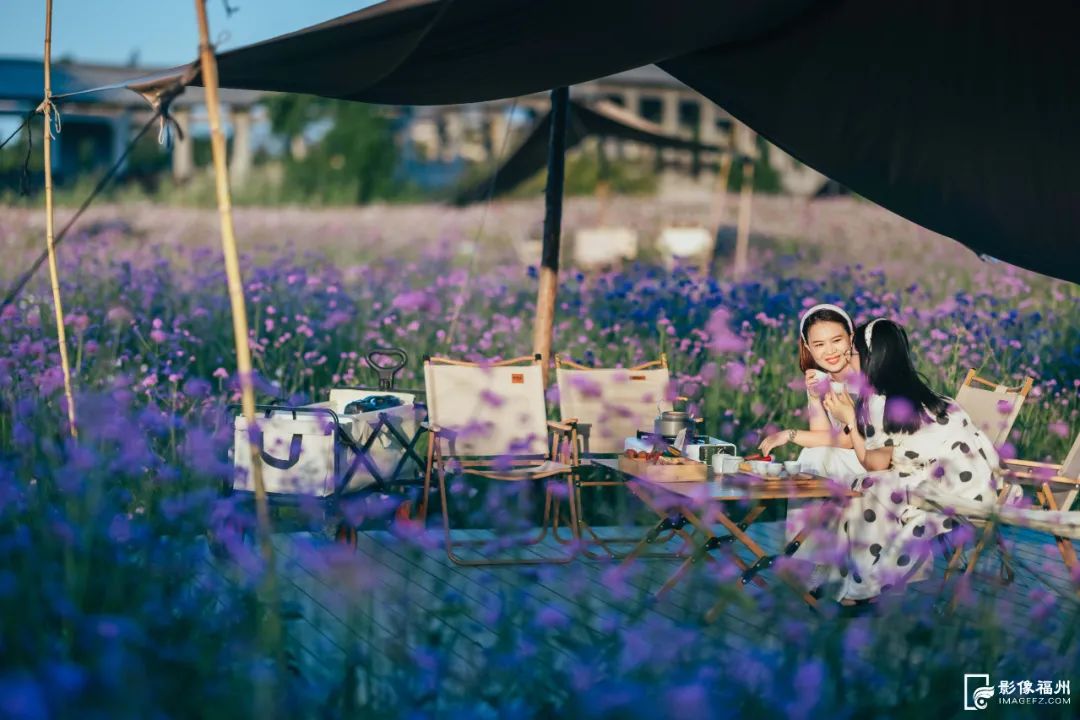 六月，去看花花世界！