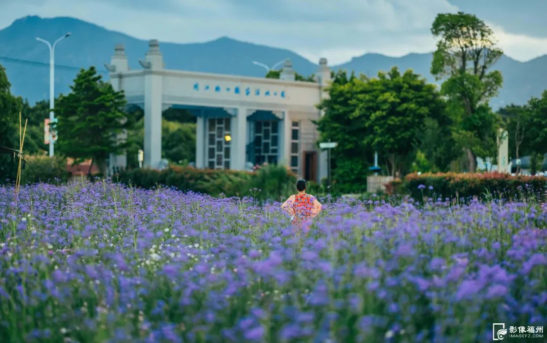 六月，去看花花世界！