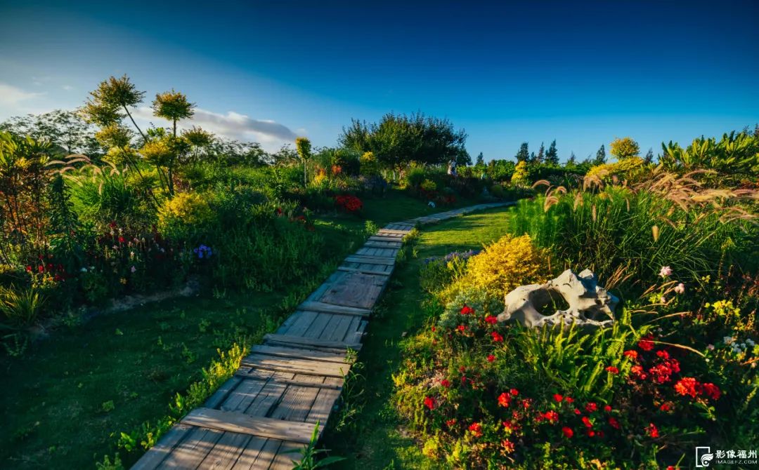 六月，去看花花世界！