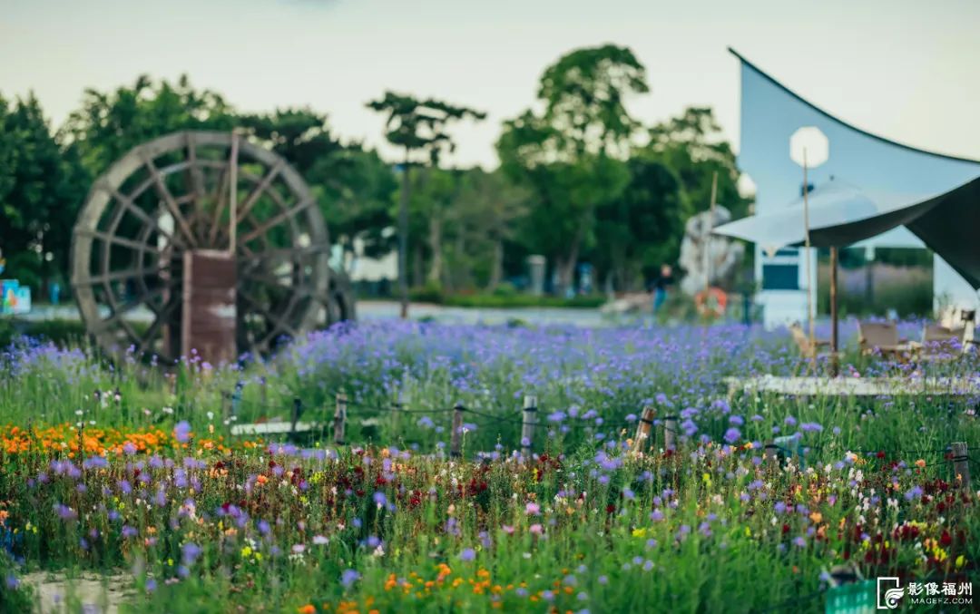 六月，去看花花世界！