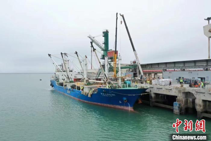 近日，今年首艘远洋渔获靠岸元洪码头。　薛有雄　摄