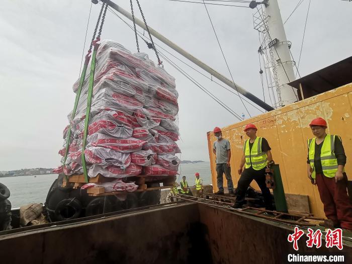 来自北太平洋公海的冻沙丁鱼等渔获预计5天左右可完成卸货作业。　薛有雄 摄