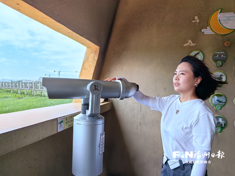 台胞林立婷致力保护闽江河口湿地13载
