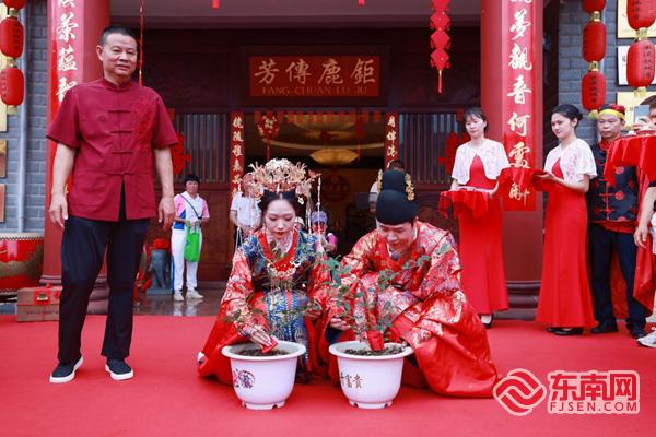 新郎新娘同种同心茶。黄东华 摄