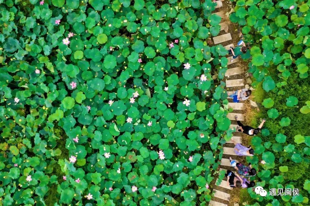 闽侯：这么近，那么美！