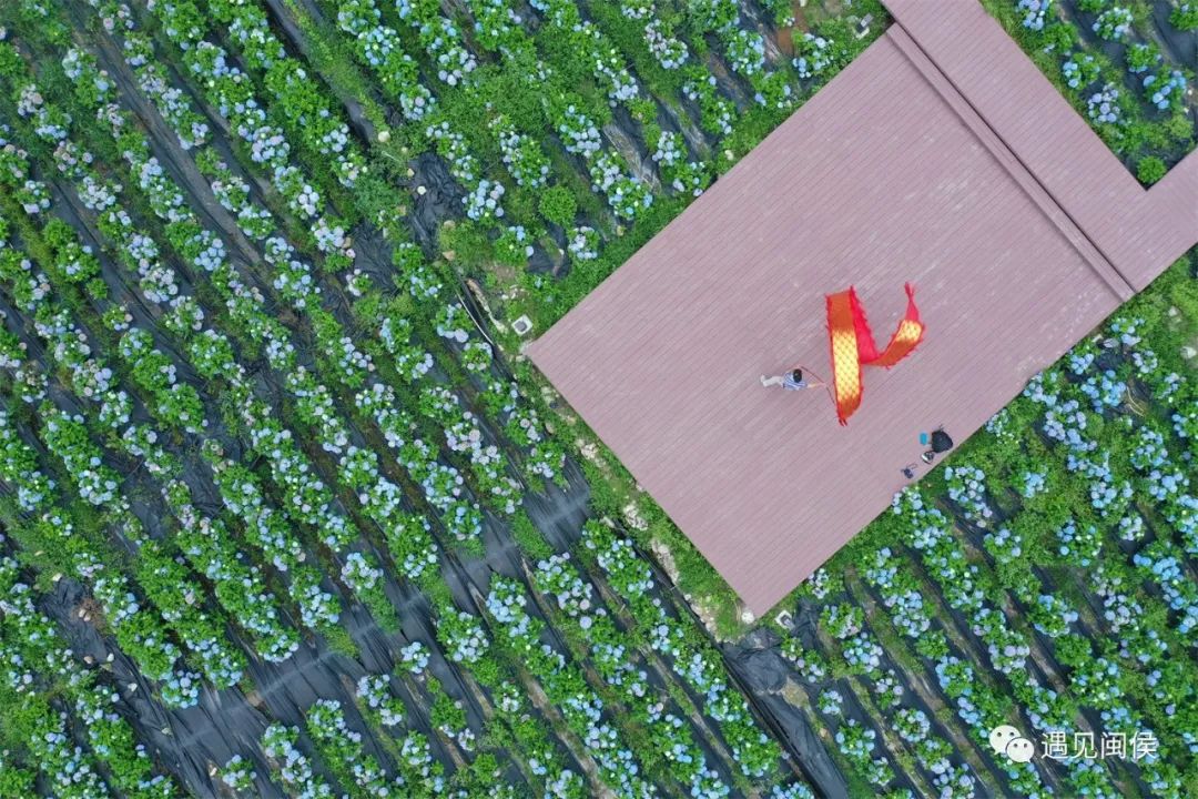 闽侯:这么近,那么美! 闽侯:这么近,那么美!