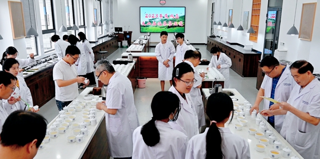 2023年蕉城区天山名优茶茶王大赛现场。蕉城区融媒体中心供图