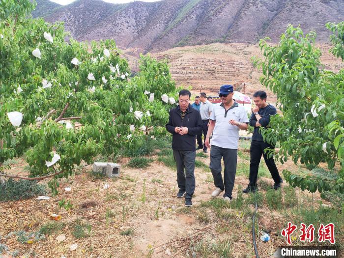 参观考察乡城县的“遇见香巴拉”田园综合体。　严贵翔 摄