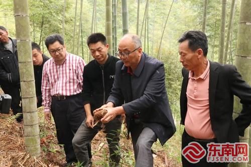 开展竹林套种竹荪栽培技术培训 浦城县融媒体中心供图