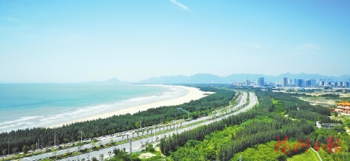 为海滨充“植”筑绿色屏障