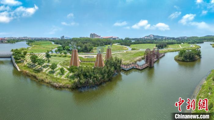 图为福建省莆田市湄洲岛湖石淉生态园。　蔡昊　摄