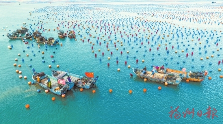 “海上牧场”再迎丰收季