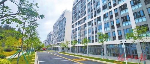 迎“光”起势　带“电”腾飞